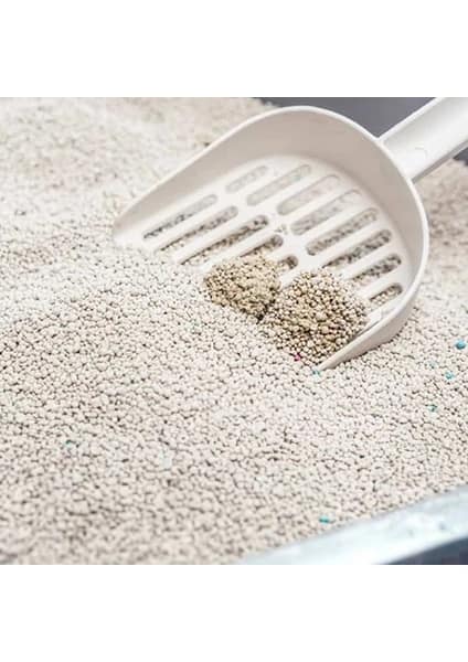 Pro Line Bebek Pudra Kokulu Topaklanan Kedi Kumu 20 Lt